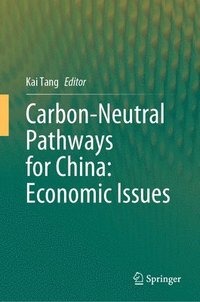 bokomslag Carbon-Neutral Pathways for China: Economic Issues