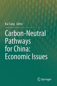 bokomslag Carbon-Neutral Pathways for China: Economic Issues