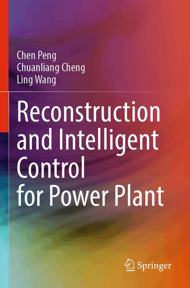 Chen Peng, Chuanliang Cheng, Ling Wang - Reconstruction and Intelligent Control for Power Plant, Häftad