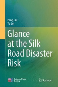 bokomslag Glance at the Silk Road Disaster Risk
