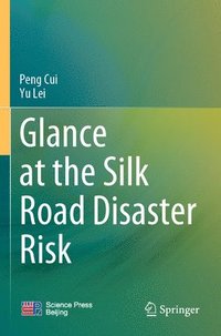bokomslag Glance at the Silk Road Disaster Risk