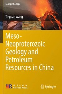 bokomslag Meso-Neoproterozoic Geology and Petroleum Resources in China