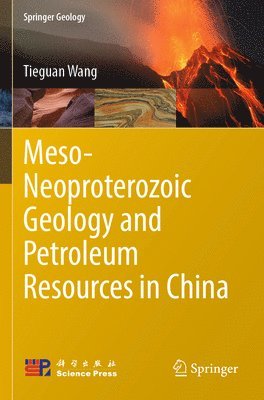 Meso-Neoproterozoic Geology and Petroleum Resources in China 1