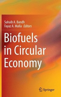 bokomslag Biofuels in Circular Economy