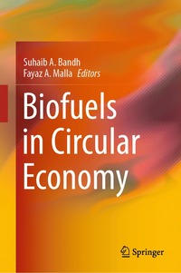 bokomslag Biofuels in Circular Economy