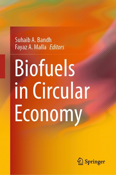 bokomslag Biofuels in Circular Economy