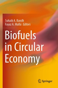 bokomslag Biofuels in Circular Economy