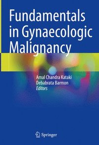 bokomslag Fundamentals in Gynaecologic Malignancy