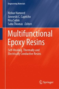 bokomslag Multifunctional Epoxy Resins