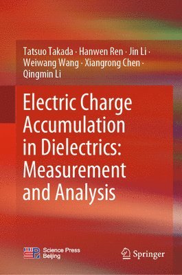 bokomslag Electric Charge Accumulation in Dielectrics: Measurement and Analysis