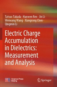 bokomslag Electric Charge Accumulation in Dielectrics: Measurement and Analysis