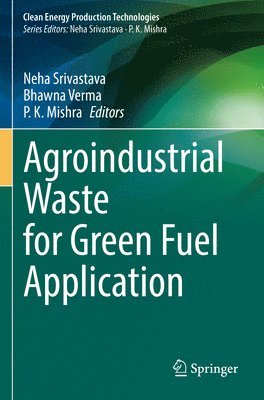 bokomslag Agroindustrial Waste for Green Fuel Application