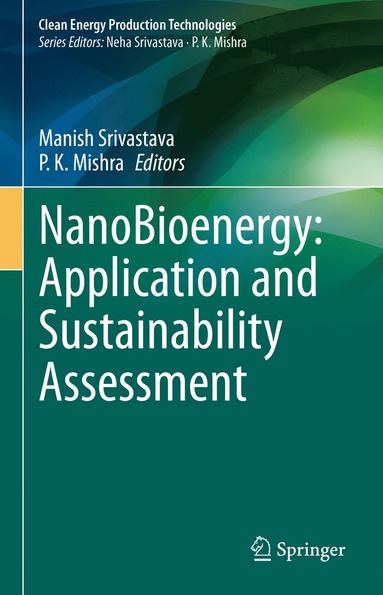 bokomslag NanoBioenergy: Application and Sustainability Assessment