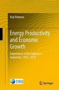 bokomslag Energy Productivity and Economic Growth