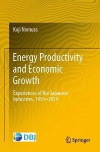 bokomslag Energy Productivity and Economic Growth