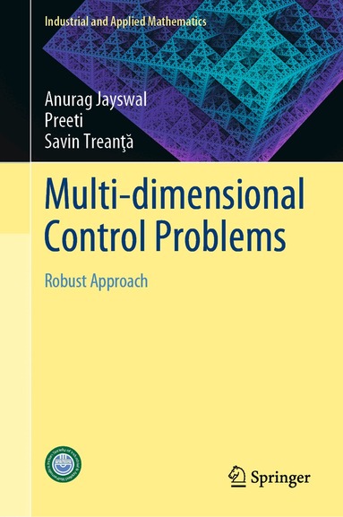 Anurag Jayswal, Preeti, Savin Treanţӑ - Multi-dimensional Control Problems, Inbunden