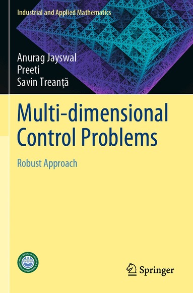 Anurag Jayswal, Preeti, Savin Treanţӑ - Multi-dimensional Control Problems, Häftad