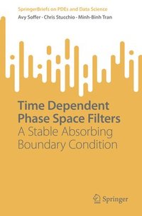 bokomslag Time Dependent Phase Space Filters