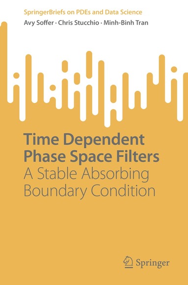 Avy Soffer, Chris Stucchio, Minh-Binh Tran - Time Dependent Phase Space Filters, Häftad