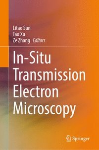 bokomslag In-Situ Transmission Electron Microscopy