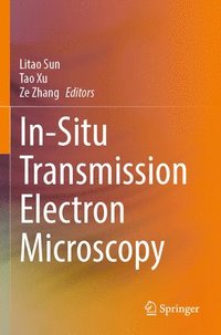 bokomslag In-Situ Transmission Electron Microscopy