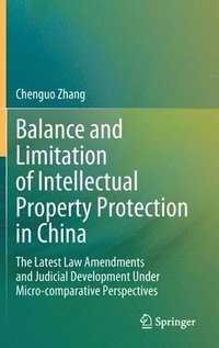 bokomslag Balance and Limitation of Intellectual Property Protection in China