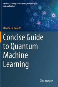 bokomslag Concise Guide to Quantum Machine Learning