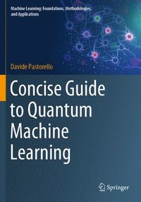 bokomslag Concise Guide to Quantum Machine Learning