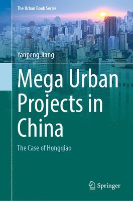 bokomslag Mega Urban Projects in China