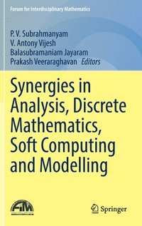 bokomslag Synergies in Analysis, Discrete Mathematics, Soft Computing and Modelling