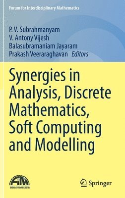 P. V. Subrahmanyam, V. Antony Vijesh, Balasubramaniam Jayaram, Prakash Veeraraghavan - Synergies in Analysis, Discrete Mathematics, Soft Computing and Modelling, Inbunden