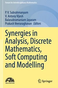bokomslag Synergies in Analysis, Discrete Mathematics, Soft Computing and Modelling
