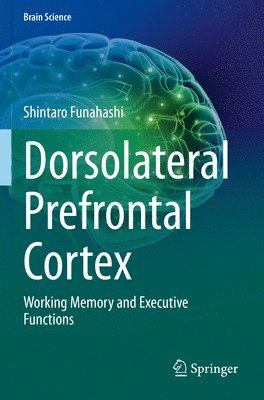 Dorsolateral Prefrontal Cortex 1