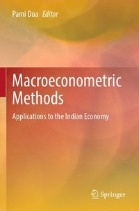 bokomslag Macroeconometric Methods