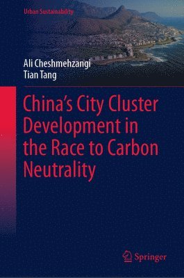 bokomslag Chinas City Cluster Development in the Race to Carbon Neutrality