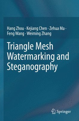 bokomslag Triangle Mesh Watermarking and Steganography