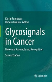 bokomslag Glycosignals in Cancer