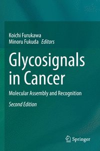 bokomslag Glycosignals in Cancer