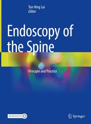 bokomslag Endoscopy of the Spine