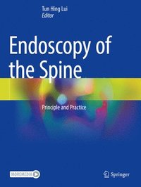 bokomslag Endoscopy of the Spine