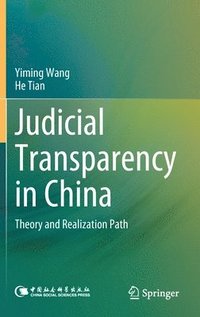 bokomslag Judicial Transparency in China