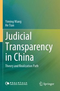 bokomslag Judicial Transparency in China
