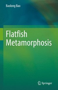 bokomslag Flatfish Metamorphosis