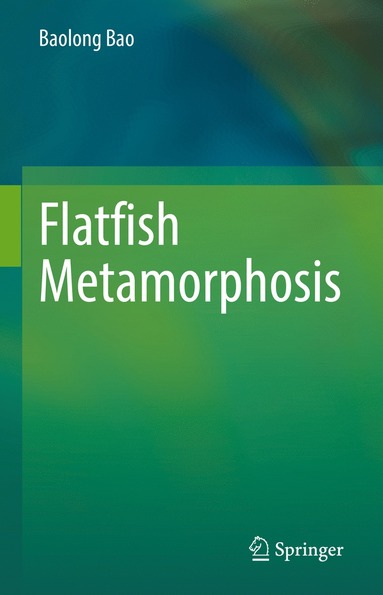 bokomslag Flatfish Metamorphosis