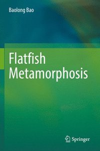 bokomslag Flatfish Metamorphosis