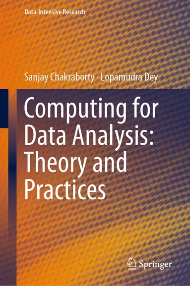 bokomslag Computing for Data Analysis: Theory and Practices