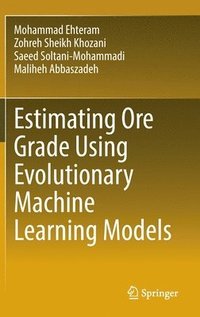 bokomslag Estimating Ore Grade Using Evolutionary Machine Learning Models