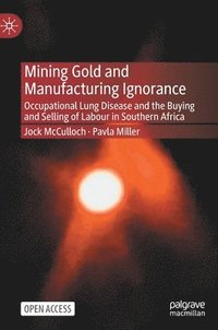 bokomslag Mining Gold and Manufacturing Ignorance