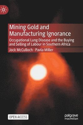 bokomslag Mining Gold and Manufacturing Ignorance