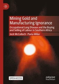 bokomslag Mining Gold and Manufacturing Ignorance